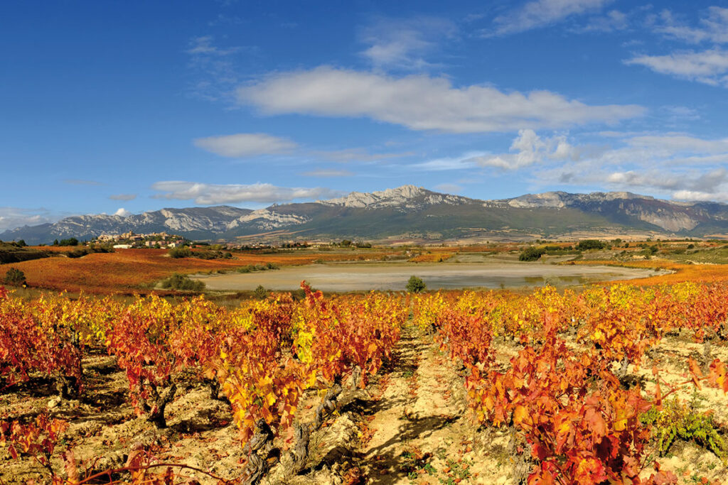 Salinas de Laguardia y Sierra de Cantabria. © Daniel Acevedo